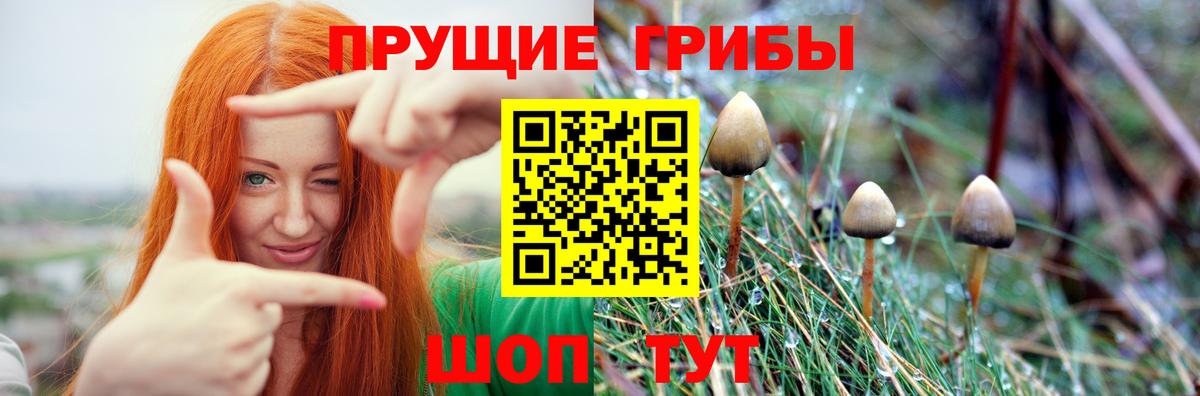 Псилоцибиновые грибы мицелий  Вход с VPN  Набережные Челны  Галлюциногенные грибы мицелий 